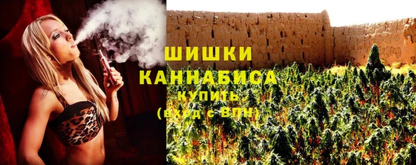 гашик Балахна