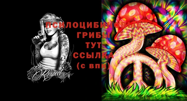 apvp Балабаново